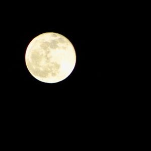 Meet your Posher, Devin